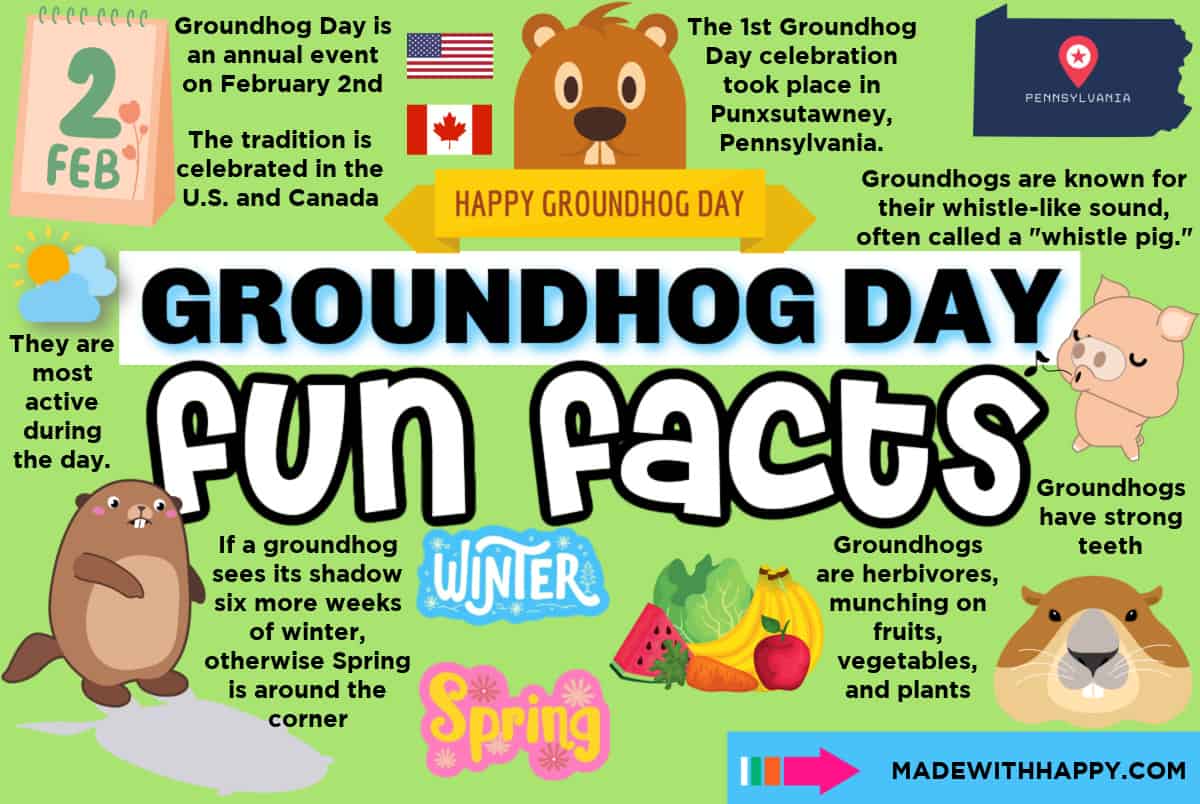 27+ fun groundhog day facts for kids - made with happy